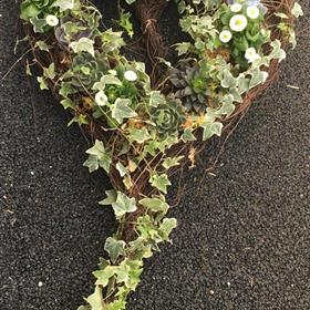 fwthumbfuneral flowers Hayle 2241x3707.jpg